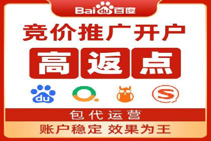 网络推广竞价实战：某电商平台的成功案例